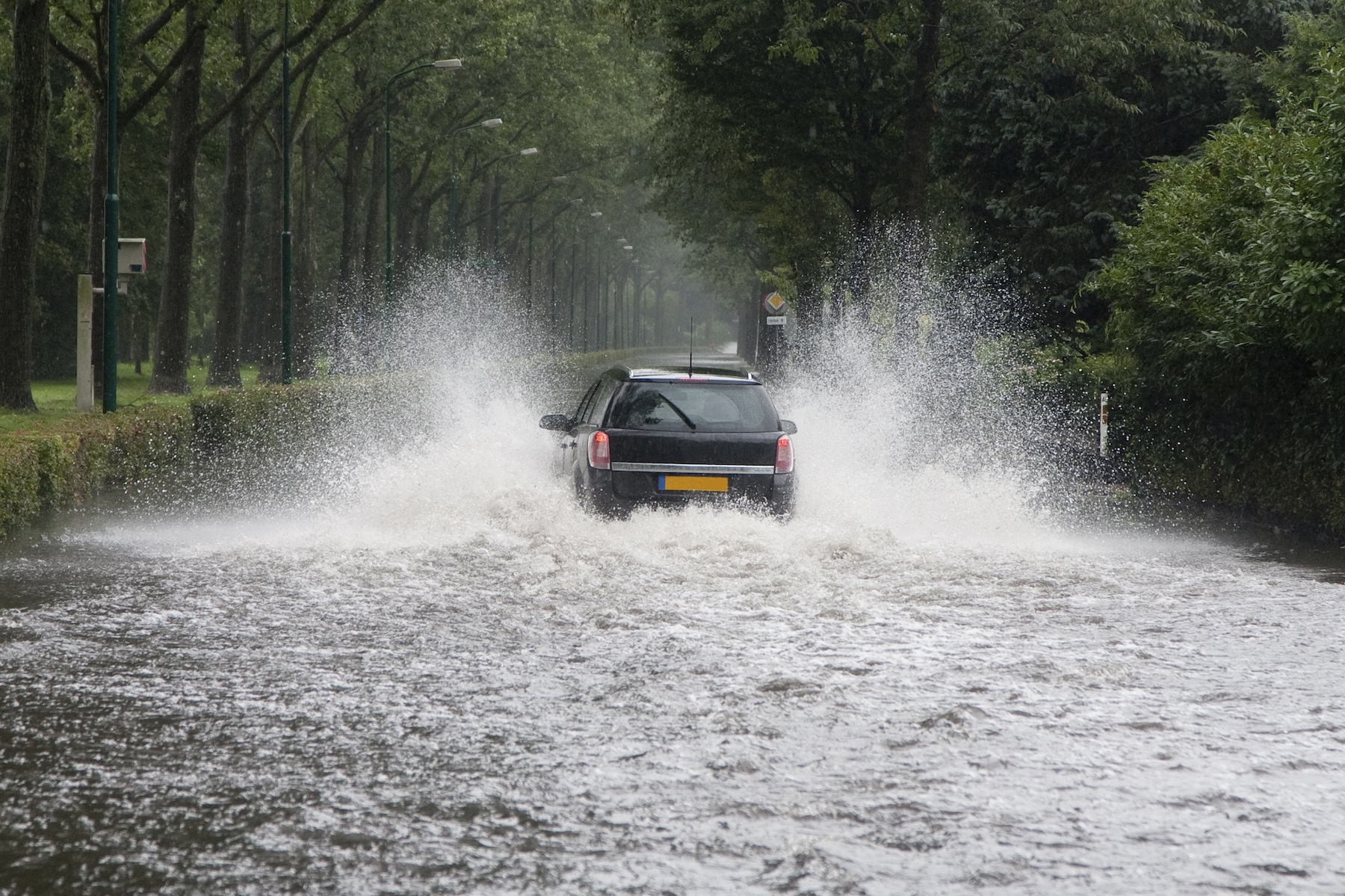 Storm Pedro – Sedgwick-mobilisering